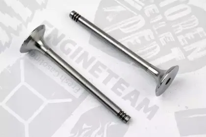 VE0070 ET ENGINETEAM Выпускной клапан