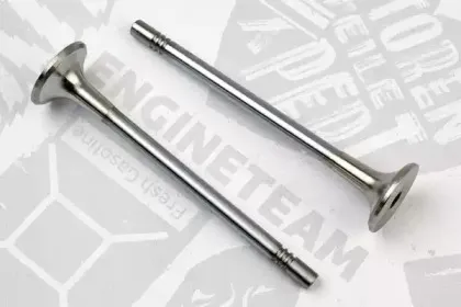VE0073 ET ENGINETEAM Выпускной клапан