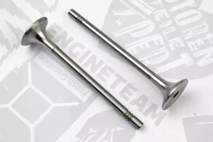 VE0075 ET ENGINETEAM Выпускной клапан