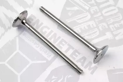 VE0077 ET ENGINETEAM Выпускной клапан