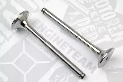 VE0078 ET ENGINETEAM Выпускной клапан