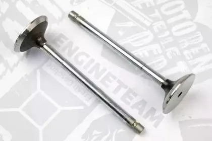 VE0080 ET ENGINETEAM Выпускной клапан
