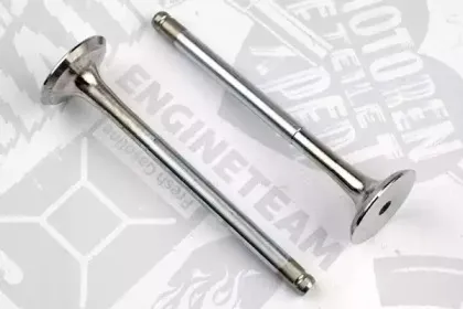 VE0091 ET ENGINETEAM Выпускной клапан
