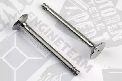 VE0096 ET ENGINETEAM Выпускной клапан