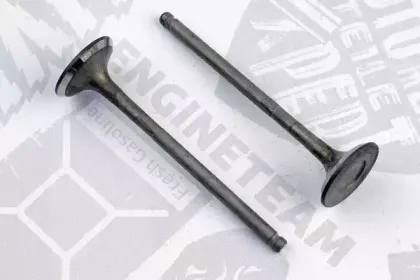 VE0099 ET ENGINETEAM Выпускной клапан