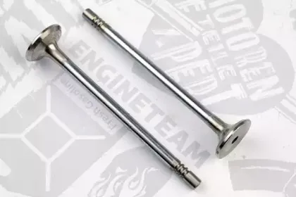 VE0107 ET ENGINETEAM Выпускной клапан