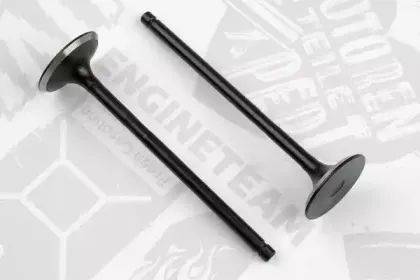 VE0113 ET ENGINETEAM Выпускной клапан