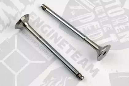 VE0119 ET ENGINETEAM Выпускной клапан