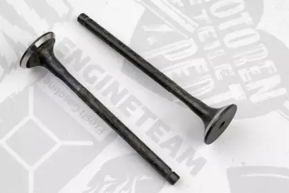 VE0121 ET ENGINETEAM Выпускной клапан