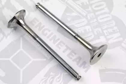 VE0124 ET ENGINETEAM Выпускной клапан