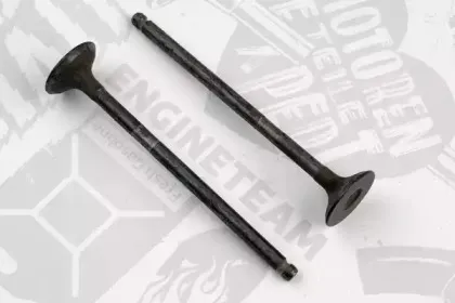 VE0129 ET ENGINETEAM Выпускной клапан