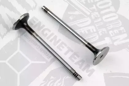 VE0131 ET ENGINETEAM Выпускной клапан