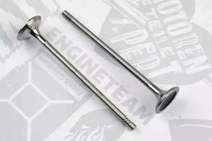 VE0135 ET ENGINETEAM Выпускной клапан