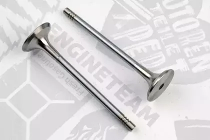 VE0136 ET ENGINETEAM Выпускной клапан