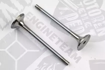VE0137 ET ENGINETEAM Выпускной клапан