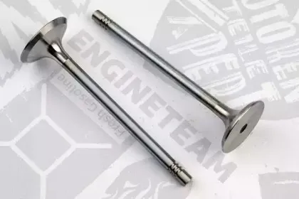 VE0144 ET ENGINETEAM Выпускной клапан