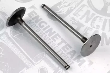 VI0009 ET ENGINETEAM Впускной клапан