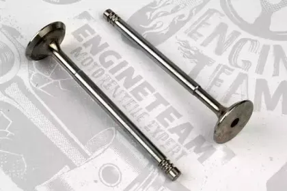 VI0014 ET ENGINETEAM Впускной клапан