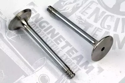 VI0016 ET ENGINETEAM Впускной клапан