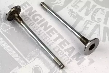 VI0019 ET ENGINETEAM Впускной клапан