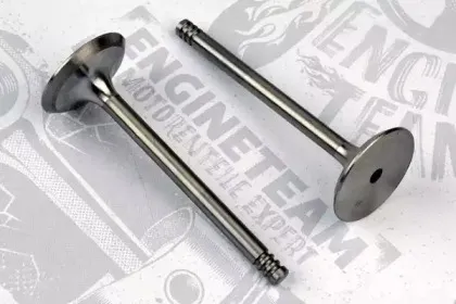 VI0021 ET ENGINETEAM Впускной клапан