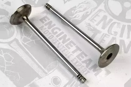 VI0025 ET ENGINETEAM Впускной клапан