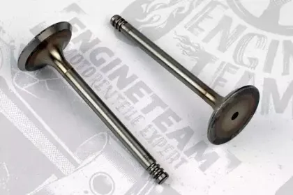 VI0027 ET ENGINETEAM Впускной клапан