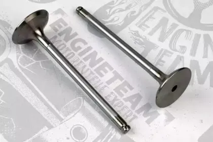 VI0028 ET ENGINETEAM Впускной клапан