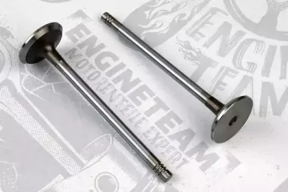 VI0044 ET ENGINETEAM Впускной клапан