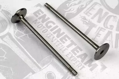 VI0045 ET ENGINETEAM Впускной клапан