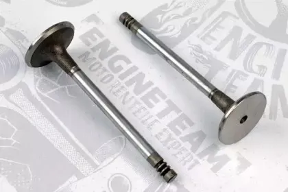 VI0046 ET ENGINETEAM Впускной клапан