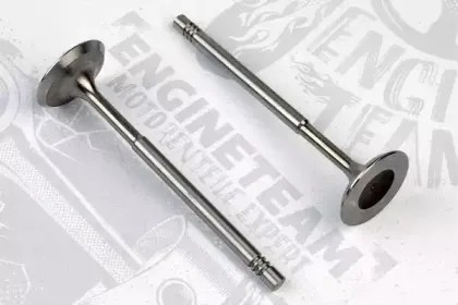 VI0049 ET ENGINETEAM