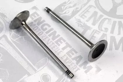 VI0050 ET ENGINETEAM Впускной клапан