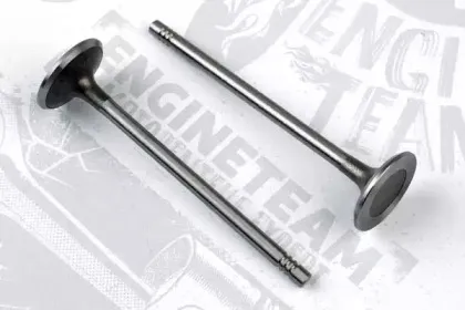 VI0060 ET ENGINETEAM Впускной клапан