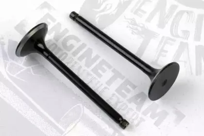 VI0068 ET ENGINETEAM Впускной клапан