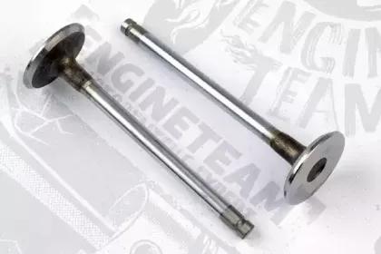 VI0084 ET ENGINETEAM Впускной клапан