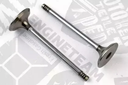 VI0101 ET ENGINETEAM