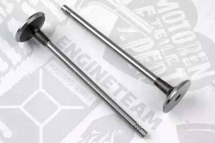 VI0115 ET ENGINETEAM Впускной клапан