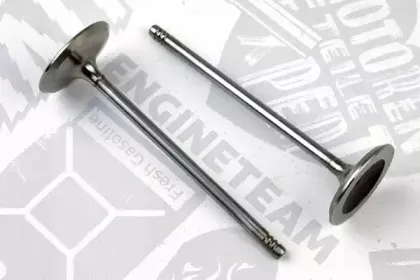 VI0124 ET ENGINETEAM Впускной клапан