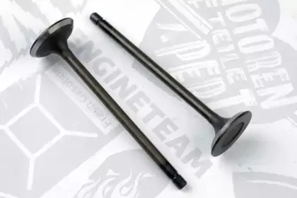 VI0159 ET ENGINETEAM Впускной клапан