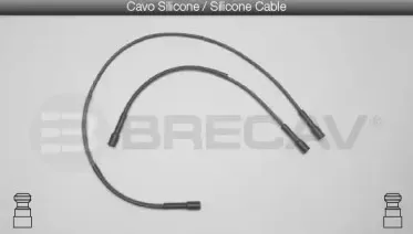 brecav-05405