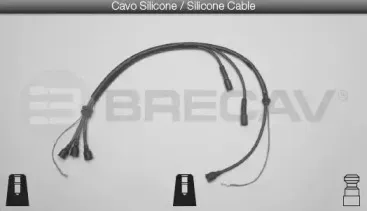 brecav-06408