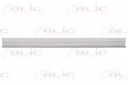 102010016342P BLIC Накладка порога