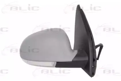 5402-01-2002630P BLIC Наружное зеркало