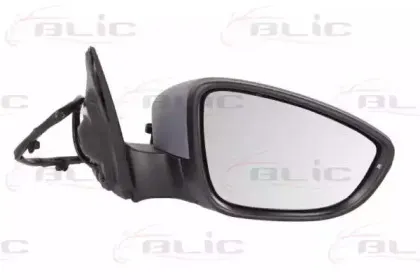 5402-01-2002718P BLIC Наружное зеркало