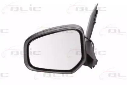 5402-03-2001259P BLIC Наружное зеркало