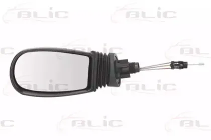 5402-04-1117329P BLIC Наружное зеркало