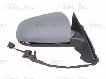 blic-5402041129596
