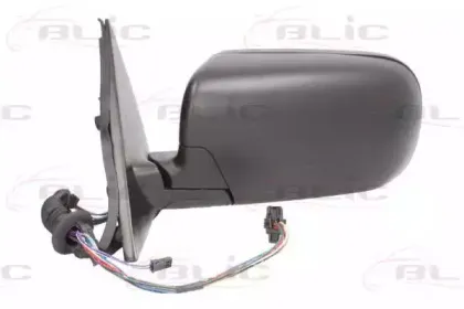 blic-5402041129825