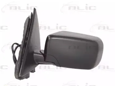 blic-5402041129827